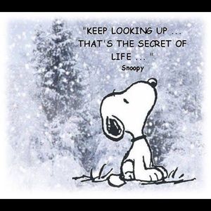 Meet your Posher, Nelly